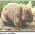 Wombatjuh Awomaway